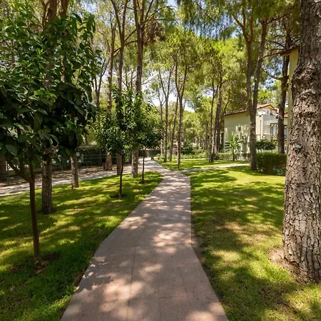 Crystal Flora Pearl Collection